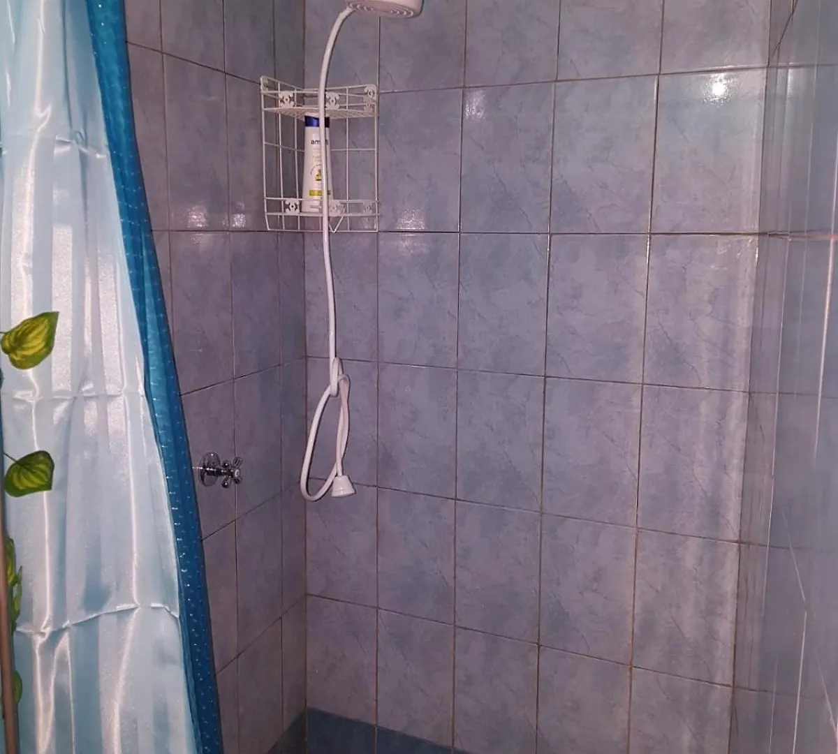 Salz Cozy Inn Roseau 0*,  Dominica